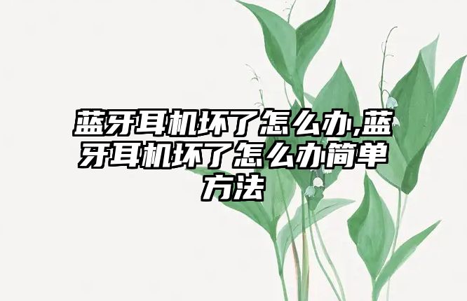 藍牙耳機壞了怎么辦,藍牙耳機壞了怎么辦簡單方法