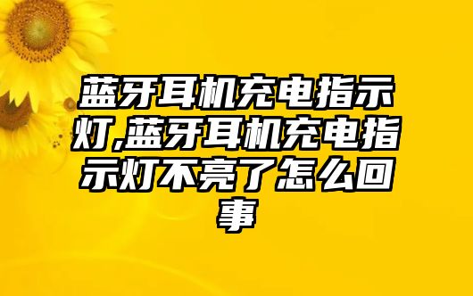 藍(lán)牙耳機充電指示燈,藍(lán)牙耳機充電指示燈不亮了怎么回事