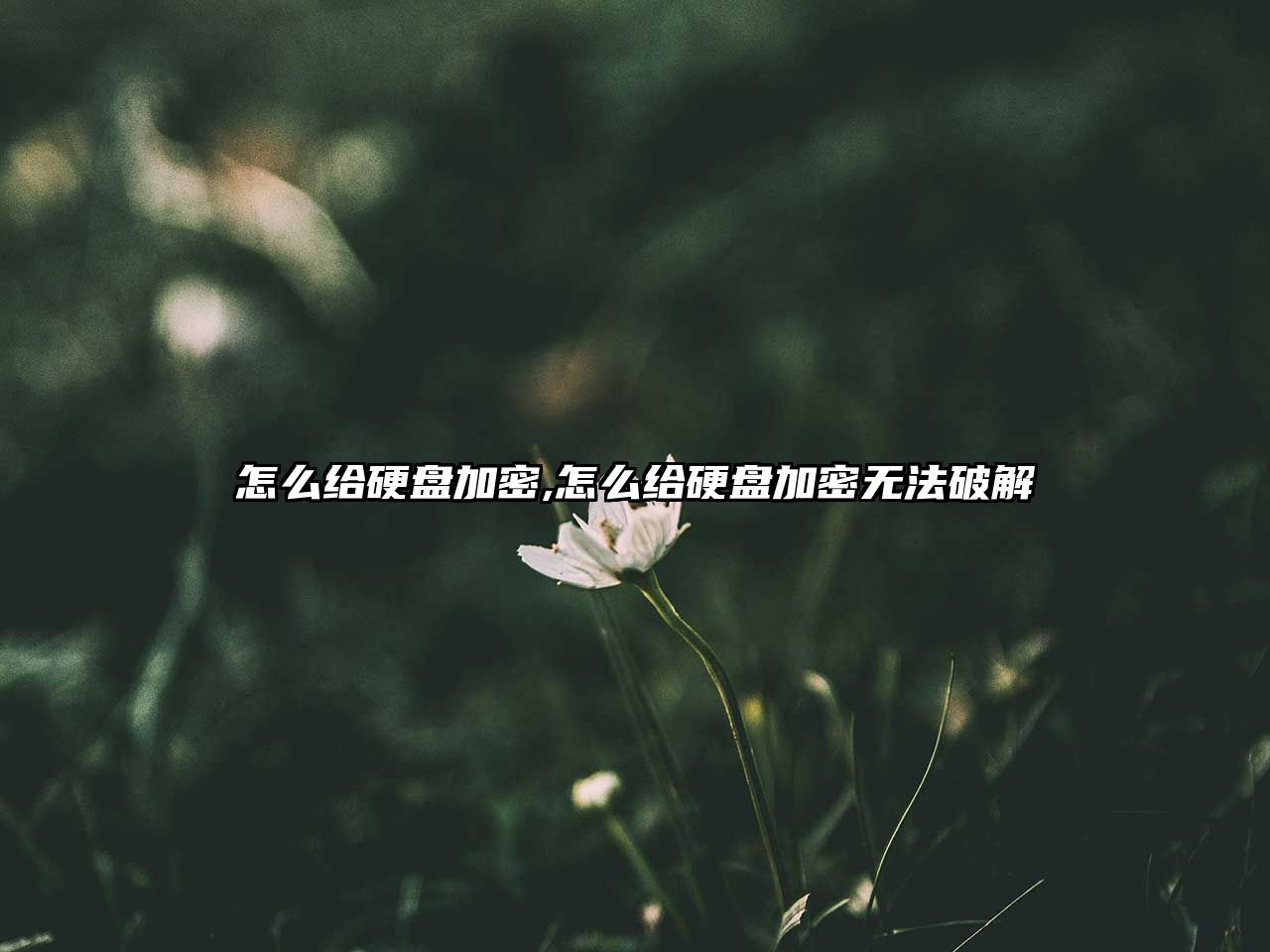 怎么給硬盤加密,怎么給硬盤加密無(wú)法破解