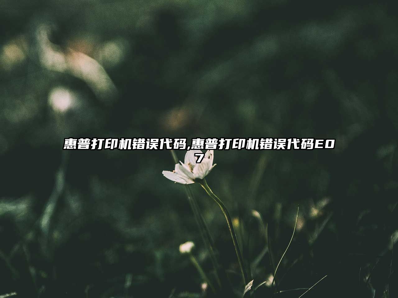 玉翠科技網(wǎng)