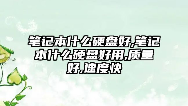 筆記本什么硬盤(pán)好,筆記本什么硬盤(pán)好用,質(zhì)量好,速度快