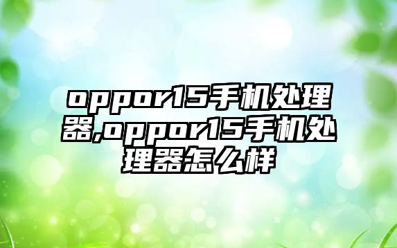 oppor15手機(jī)處理器,oppor15手機(jī)處理器怎么樣